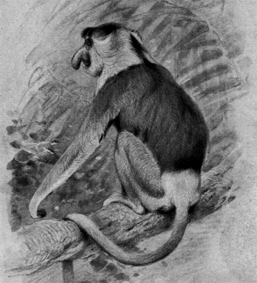 schwanger Affe 2 in 1 Pavian mit Baby aus Glas