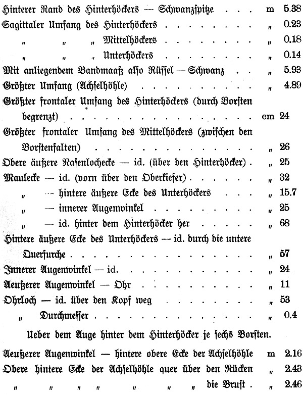 Tabelle