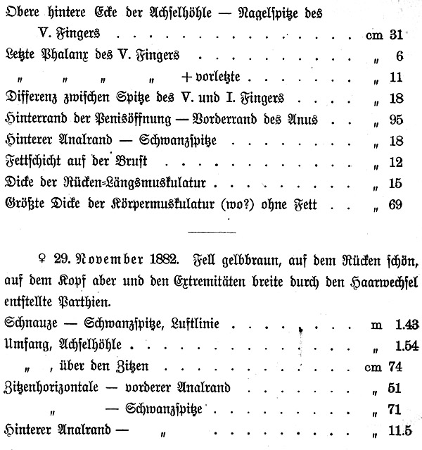 Tabelle