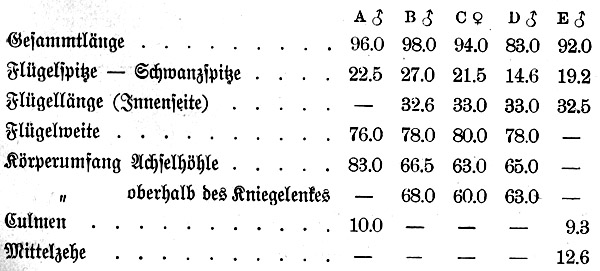 Tabelle