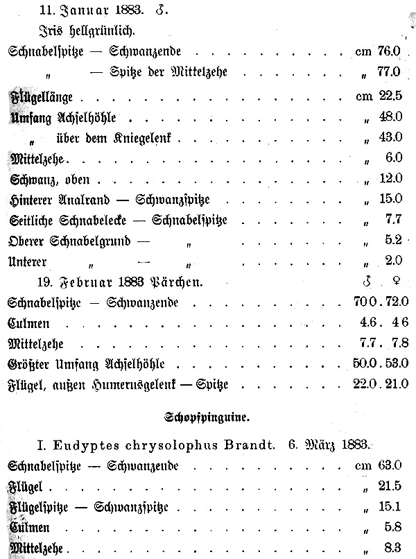 Tabelle