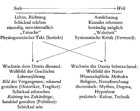 Schema