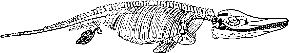 Bil: Fischeidechse (Ichthyosaurus)