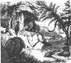 Bild: Landschaft der Eocänzeit