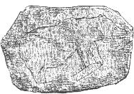 Bild: Zeichnung eines Bären auf einem Stein